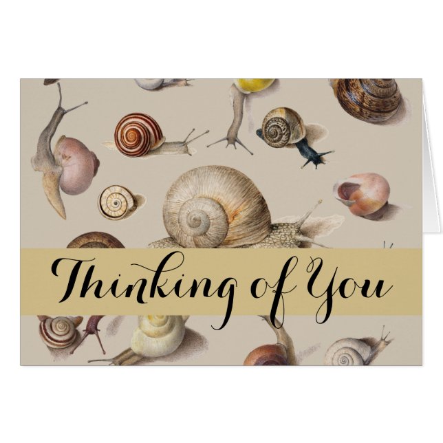 Cartão Caracóis de Gastropodo de Pet de Slug de Jardim da (Frente Horizontal)