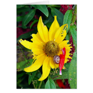 Cartão Caracol e Flor