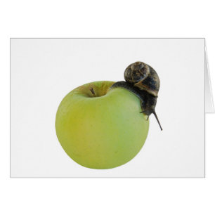 Cartão Caracol e maçã