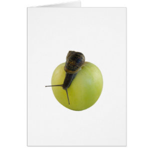 Cartão Caracol e maçã