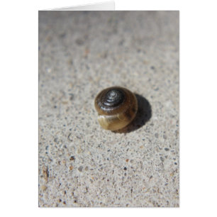 Cartão Caracol Louco
