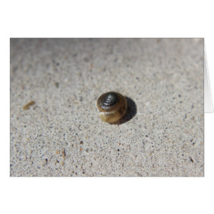 Cartão Caracol Louco