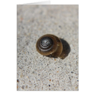 Cartão Caracol preguiçoso