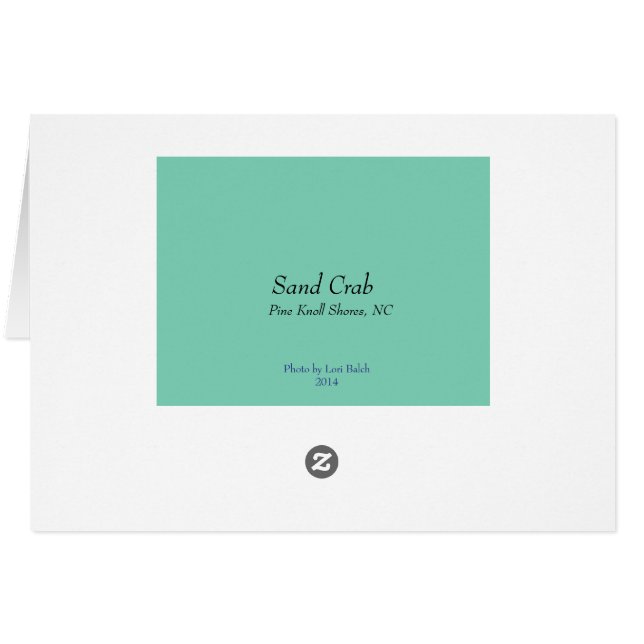 Cartão Caranguejo da areia (Verso horizontal)