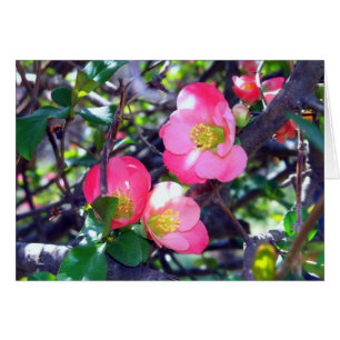 Cartão Caranguejo primavera na placa Bloom