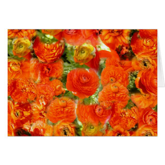 Cartão Caras pequenas