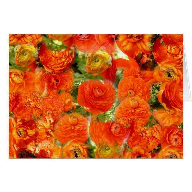 Cartão Caras pequenas (Frente Horizontal)