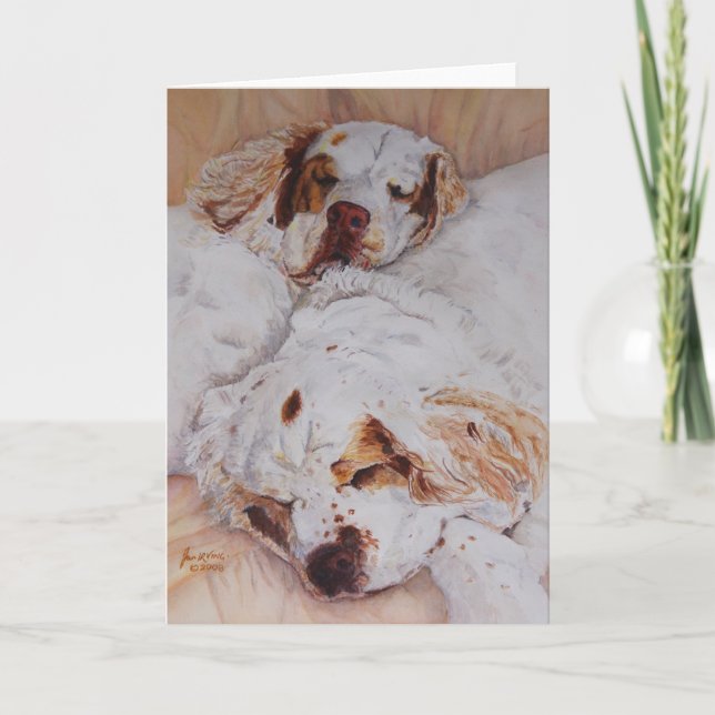 Cartão card - Comfort - Two Clumber Spaniels (Frente)