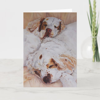 Cartão card - Comfort - Two Clumber Spaniels