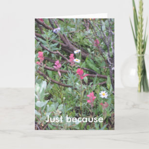 Cartão card: Just because