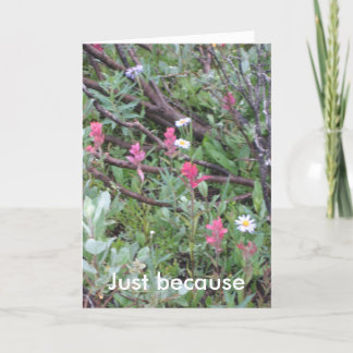 Cartão card: Just because
