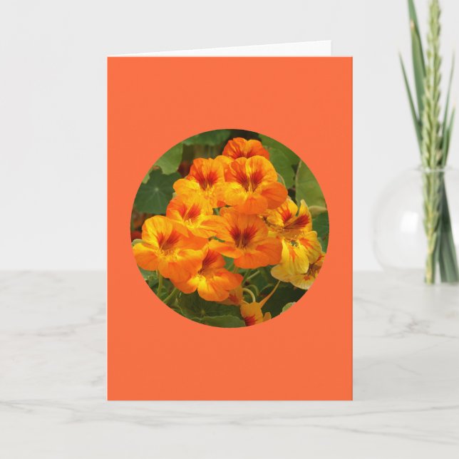 Cartão Card, "Nasturtiums in Circle" D-1 (Frente)