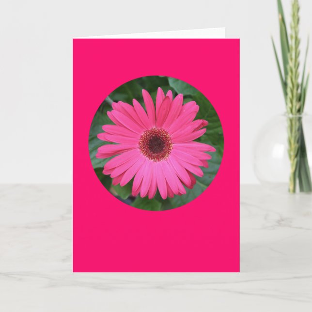 Cartão Card, "Pink Gerber Daisy in a Circle" B-1 (Frente)