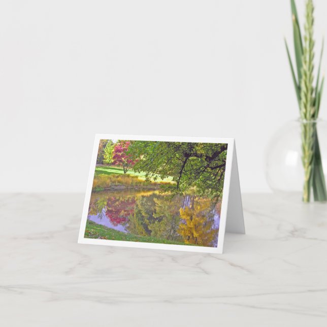 Cartão Card "Reflections in a Pond" (Frente)