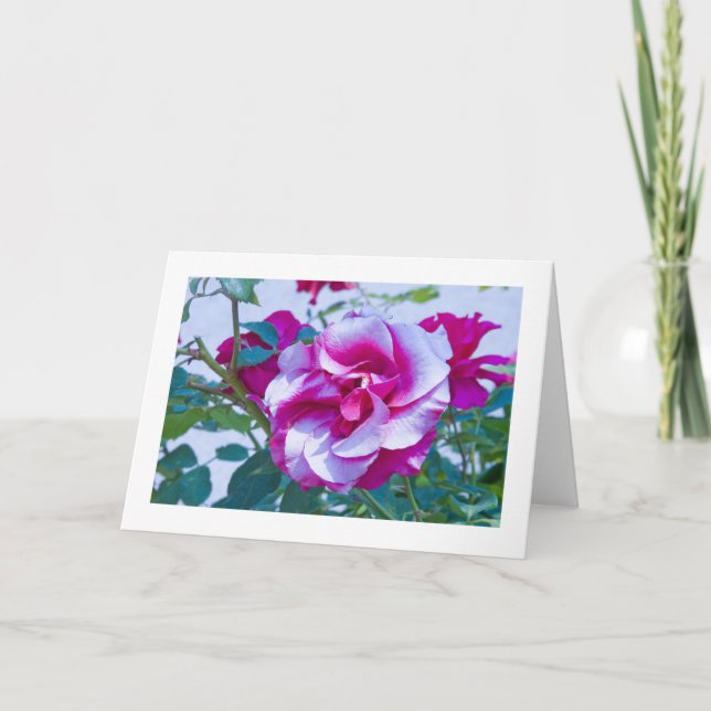 Cartão Card, Rose # 232 (Frente)