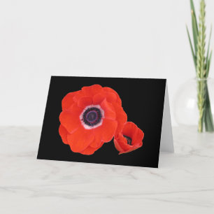 Cartão Card, Two Perfect Red Poppies.