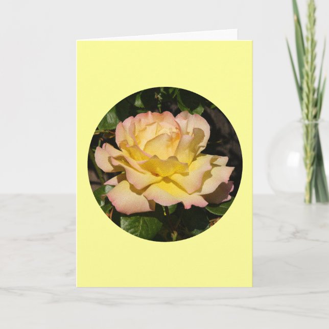 Cartão Card, Yellow Pink Blush Rose" P-1 (Frente)