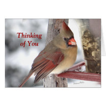 Cardeal 6649 TofY - personalize