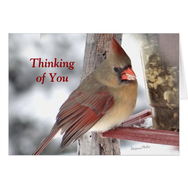 Cartão Cardeal 6649 TofY - personalize (Frente Horizontal)