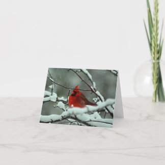Cartão Cardeal de inverno - Personalizado