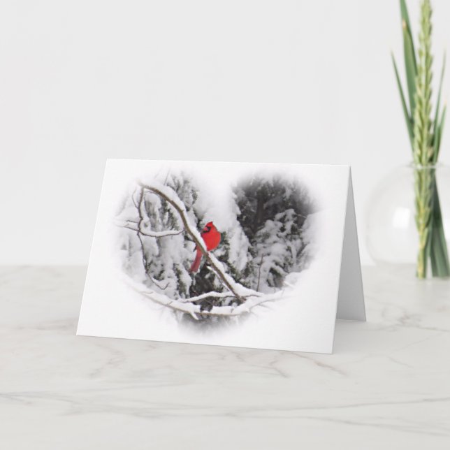 Cartão Cardeal de Neve (Frente)