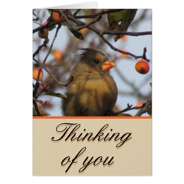 Cartão Cardeal de outono (Frente)