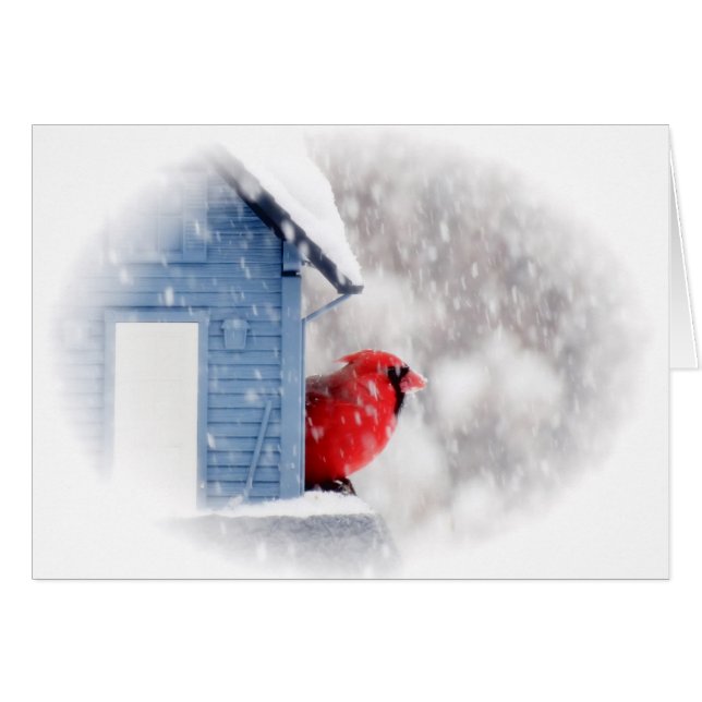 Cartão Cardeal do Dia da Neve - Pássaro (Frente Horizontal)