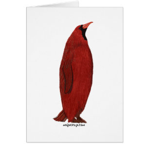Cartão Cardeal do pinguim (homem)