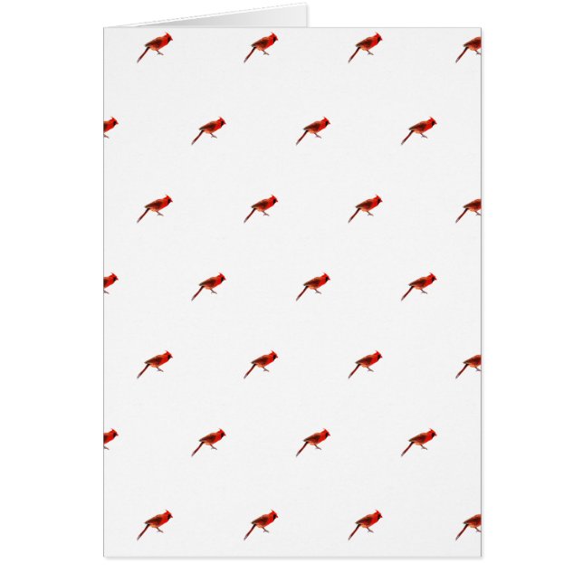 Cartão Cardeal(s) (Frente)