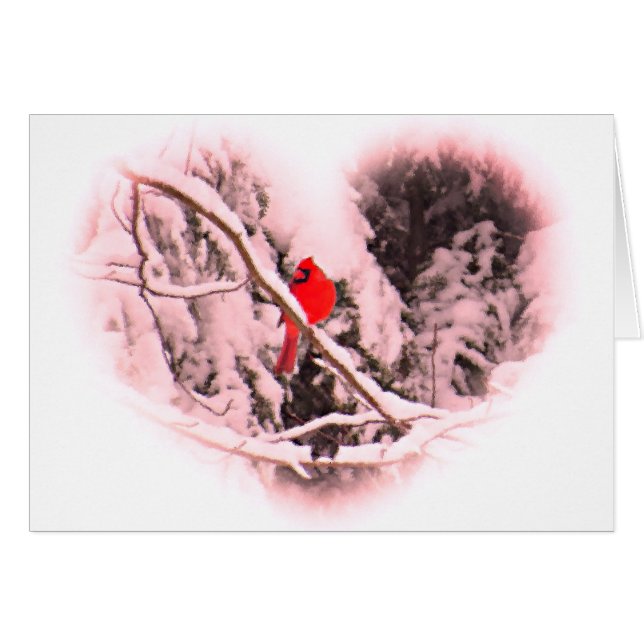 Cartão Cardeal Sangria Snow (Frente Horizontal)
