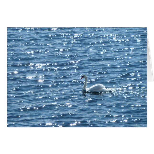 Cartão Cardiff Bay, Cardiff, Gales (Frente Horizontal)