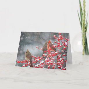 Cartão Cardinais do norte Marion, Illinois