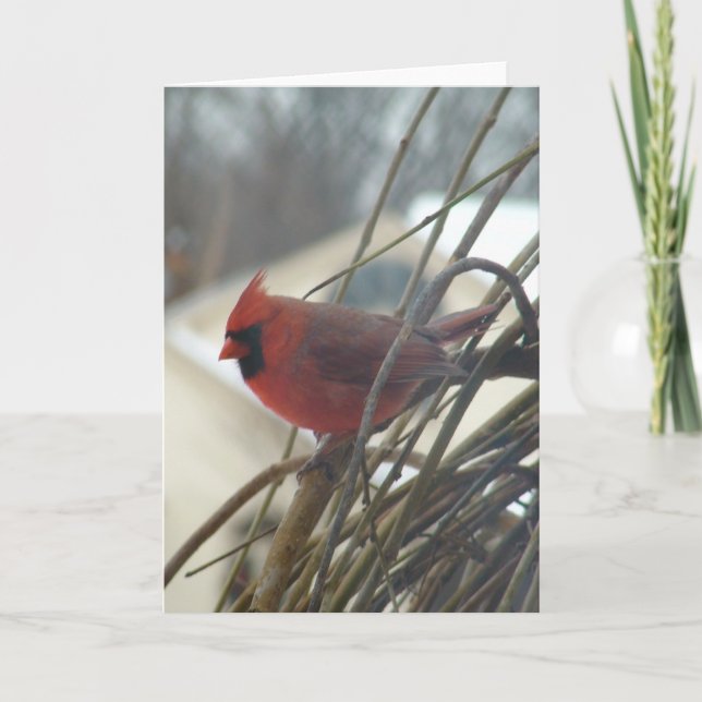 Cartão Cardinal (Frente)