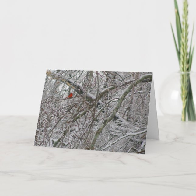 Cartão Cardinal (Frente)