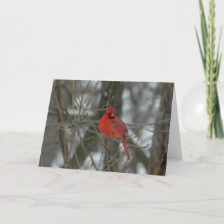 Cartão Cardinal