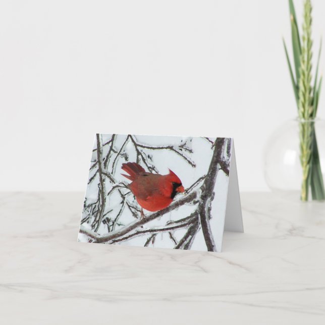 Cartão Cardinal (Frente)