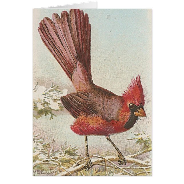 Cartão Cardinal (Frente)
