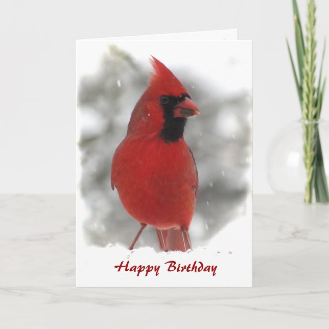 Cartão Cardinal Bird Birthday (Frente)