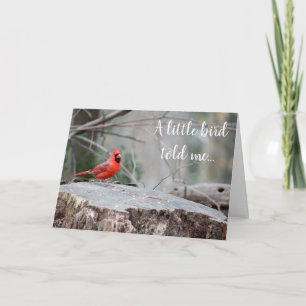 Cartão Cardinal Florestal Saudação