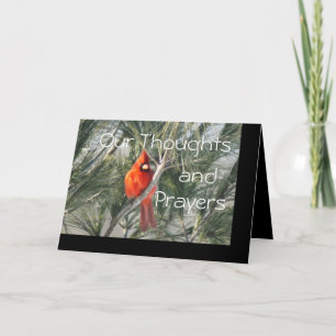 Cartão Cardinal on Pine Tree- customize any occasion
