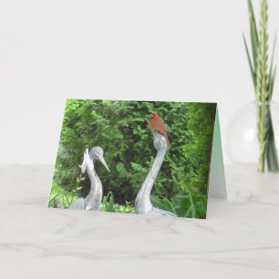 Cartão Cardinal standing on Pelicans Blank