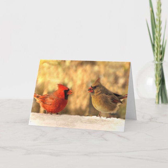 Cartão Cardinals in Autumn Greeting Cards (Frente)
