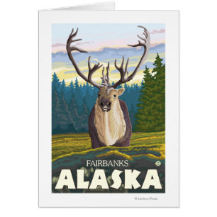 Cartão Caribu no selvagem - Fairbanks, Alaska