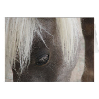 Cartão Carly, bonito mini filhote