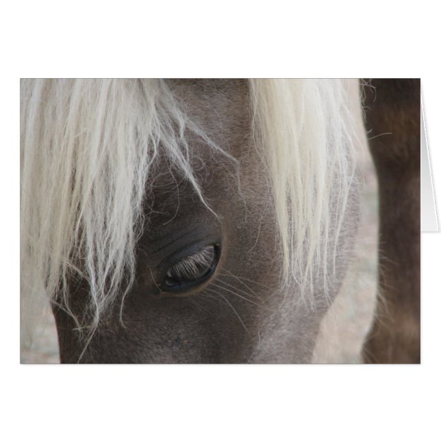 Cartão Carly, bonito mini filhote (Frente Horizontal)