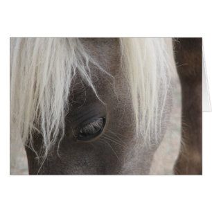 Cartão Carly, mini potro bonito