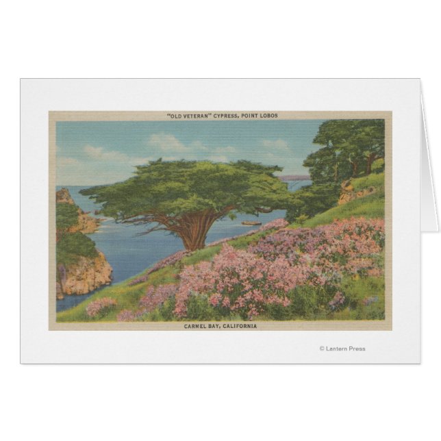 Cartão Carmel Bay, CA - Vista da Árvore "Velho Veterano" (Frente Horizontal)