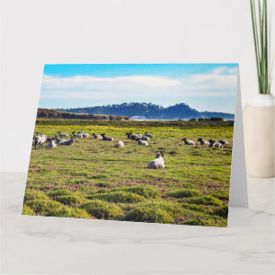 Cartão CarmEL RAMS Jumbo Greeting Card