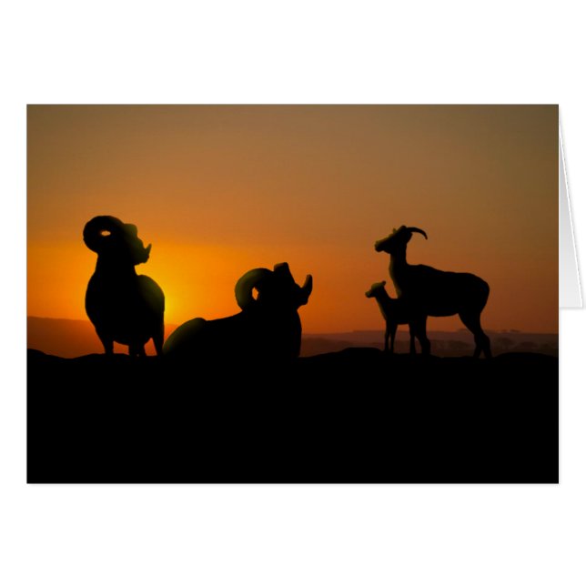 Cartão Carneiro de Bighorn (Frente Horizontal)
