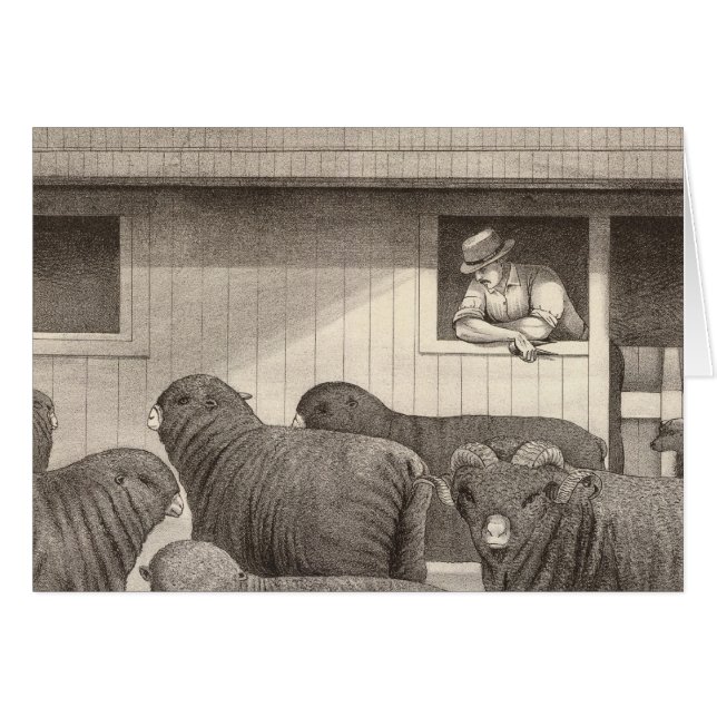 Cartão Carneiro francês merino (Frente Horizontal)